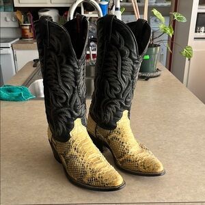 Black and Yellow Cowboy Boots Snake
